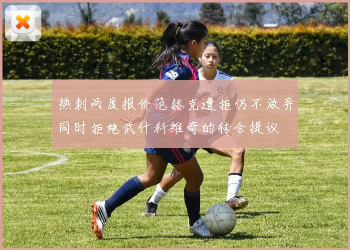 热刺两度报价范赫克遭拒仍不放弃同时拒绝武什科维奇的转会提议